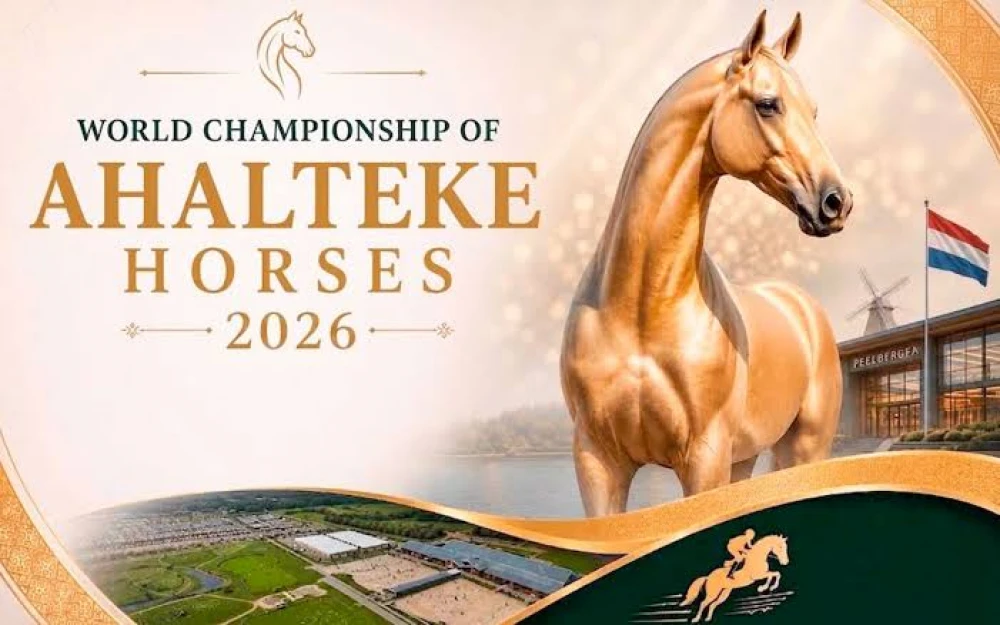 GLORY OF THE TURKMEN AKHAL-TEKE HORSES IN THE HEART OF EUROPE. surady